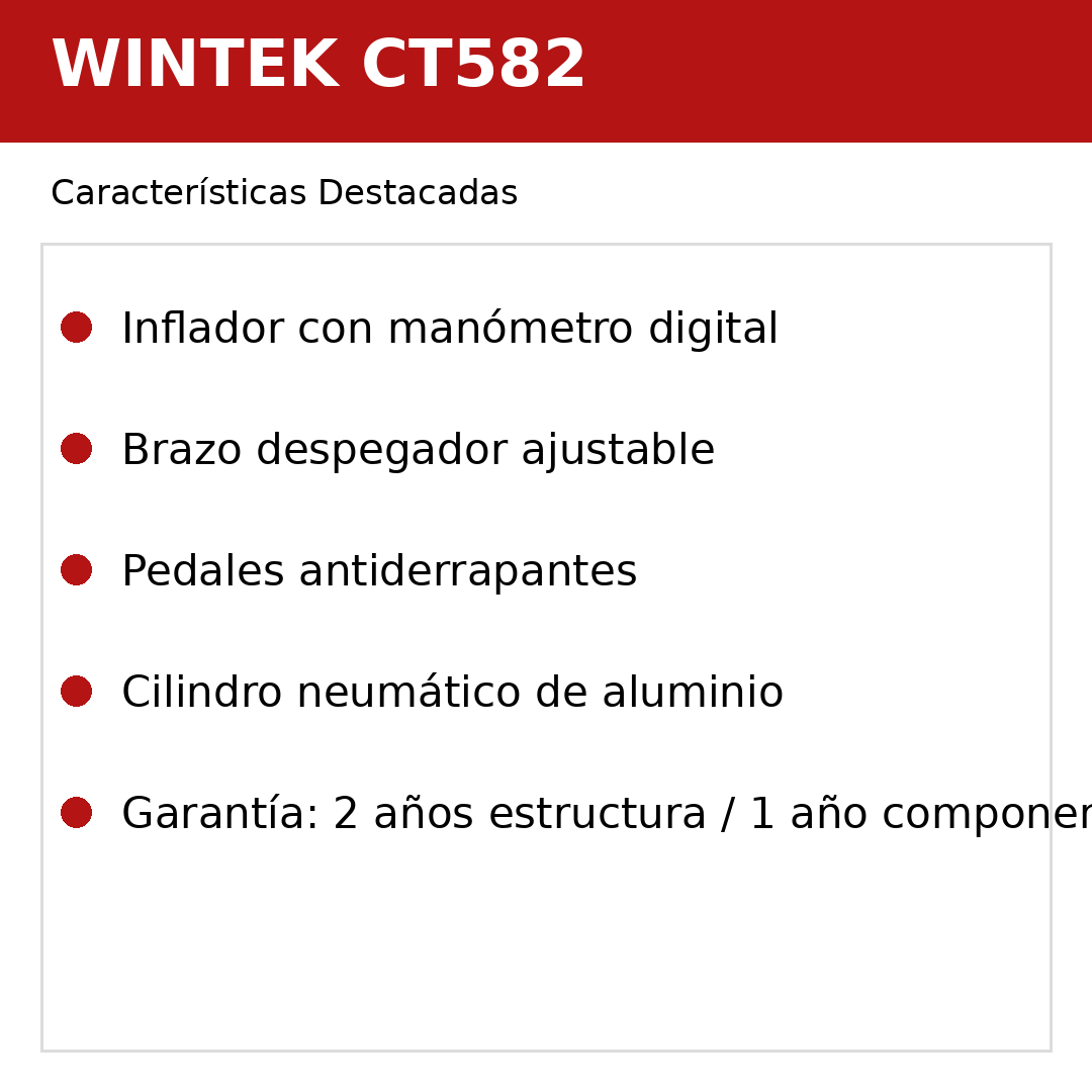 Desmontador Neumático-Eléctrico de Alto Rendimiento con Brazo Auxiliar WINTEK CT582